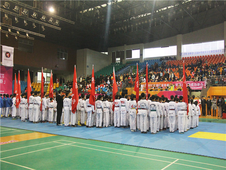 2015年湖南省跆拳道大奖赛总决赛（2016.1.28）